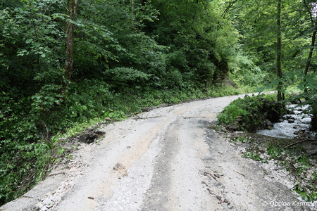 Neurje_Občina Kamnik (5)